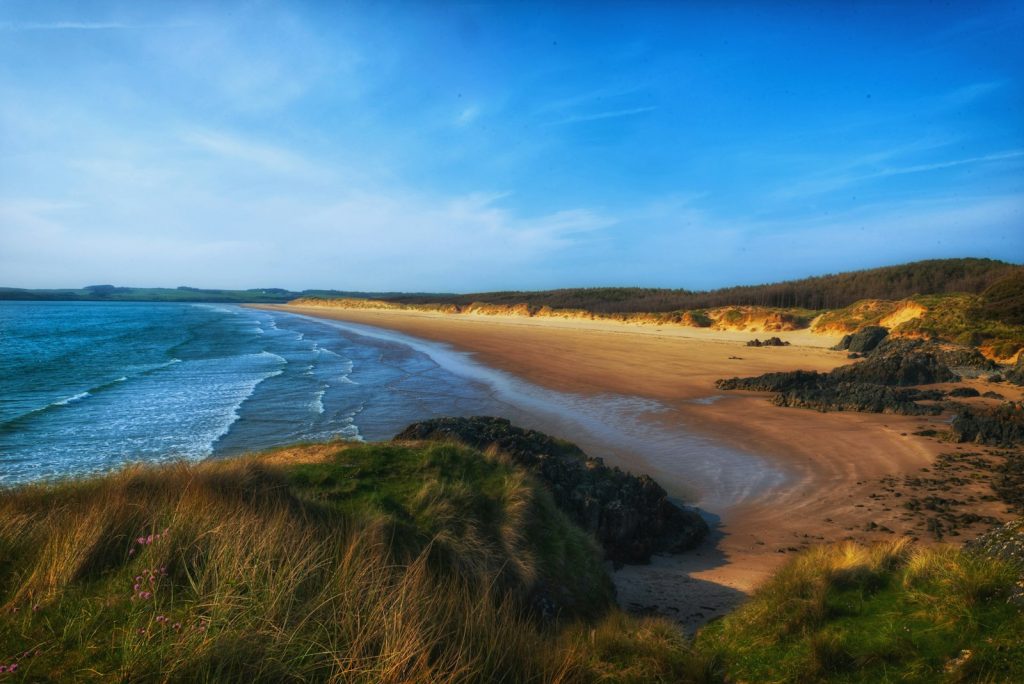 Golden sandy beach and grassy dunes on the Anglesey coastline